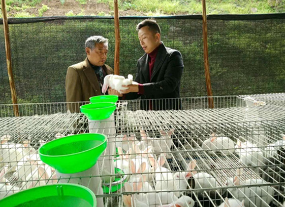 ��Ȧ- (�й���)��ȦΪ�Ķ���