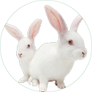 ��Ȧ- (�й���)��ȦΪ�Ķ���