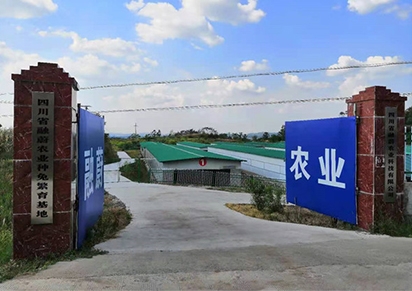 �Ĵ�������ֳ��˾�ļҺ���