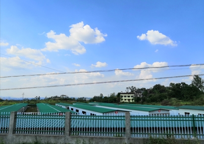 2021��������ֳ׬Ǯ��?�����ӱ�Ǯ�ѡ�ӯ�����г�Զ������